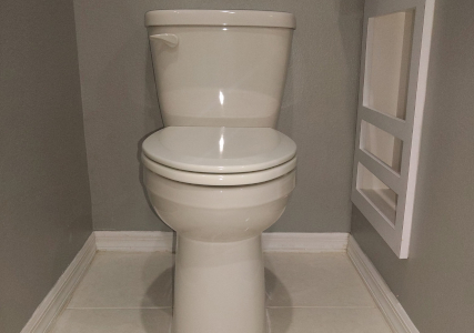 ADA Toilet(s) Installation, Trinity Florida Thumbnail