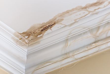 Wall Leak Repair Thumbnail