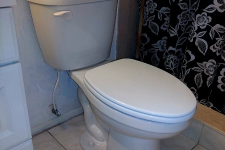 Toilet Repair & Installation Image